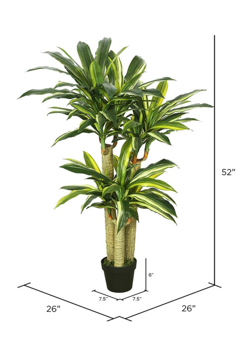 Vickerman 52" Artificial Green and Yellow Real Touch Dracaena Tree.