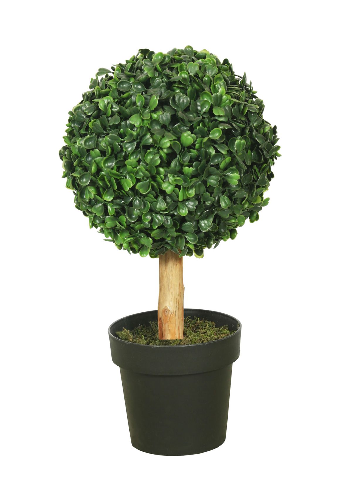 Green Boxwood Topiary