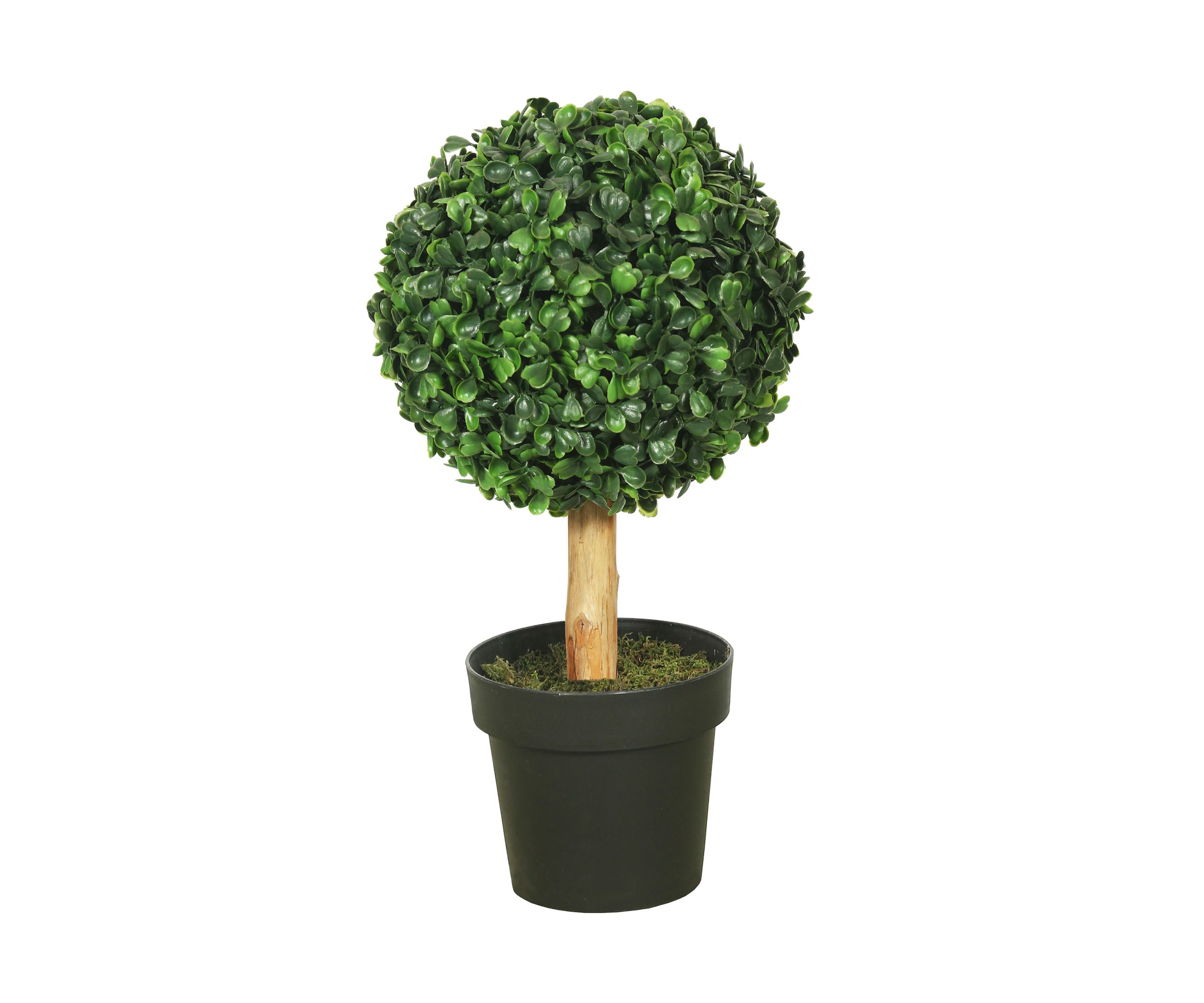Green Boxwood Topiary