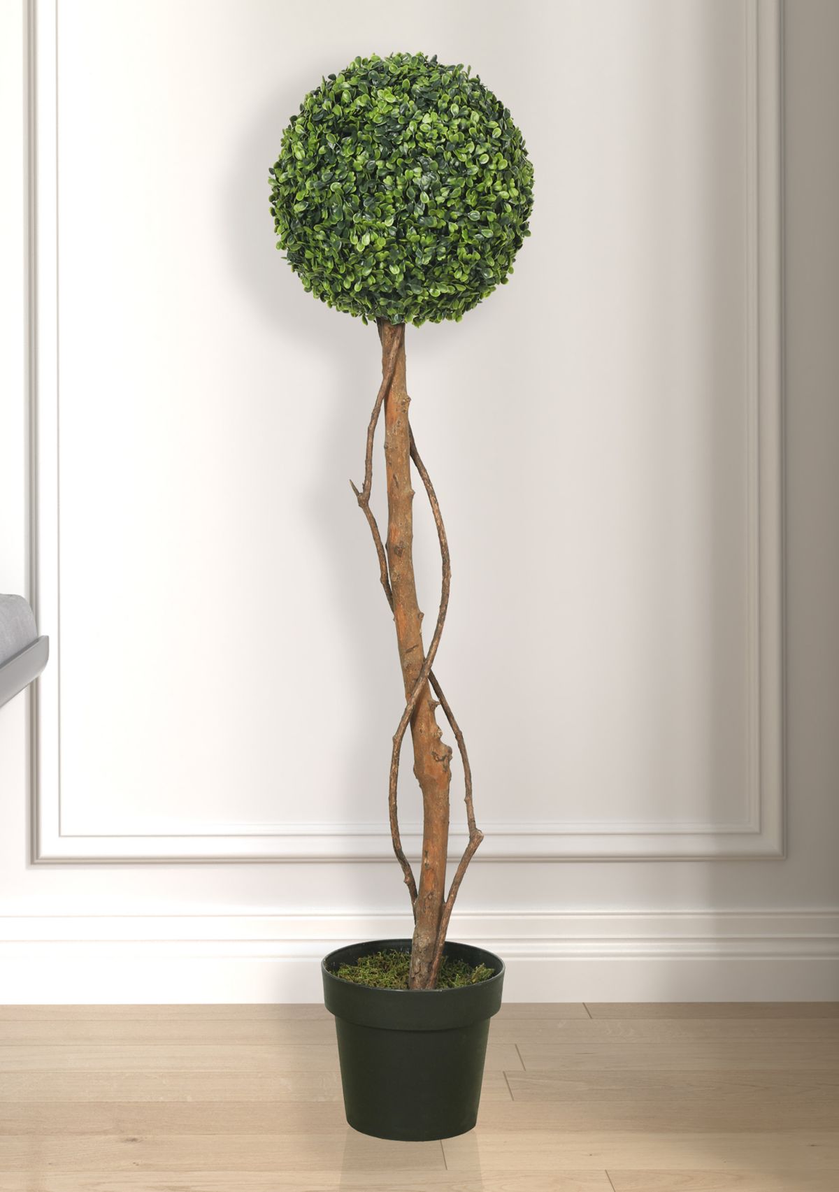 Green Boxwood Topiary