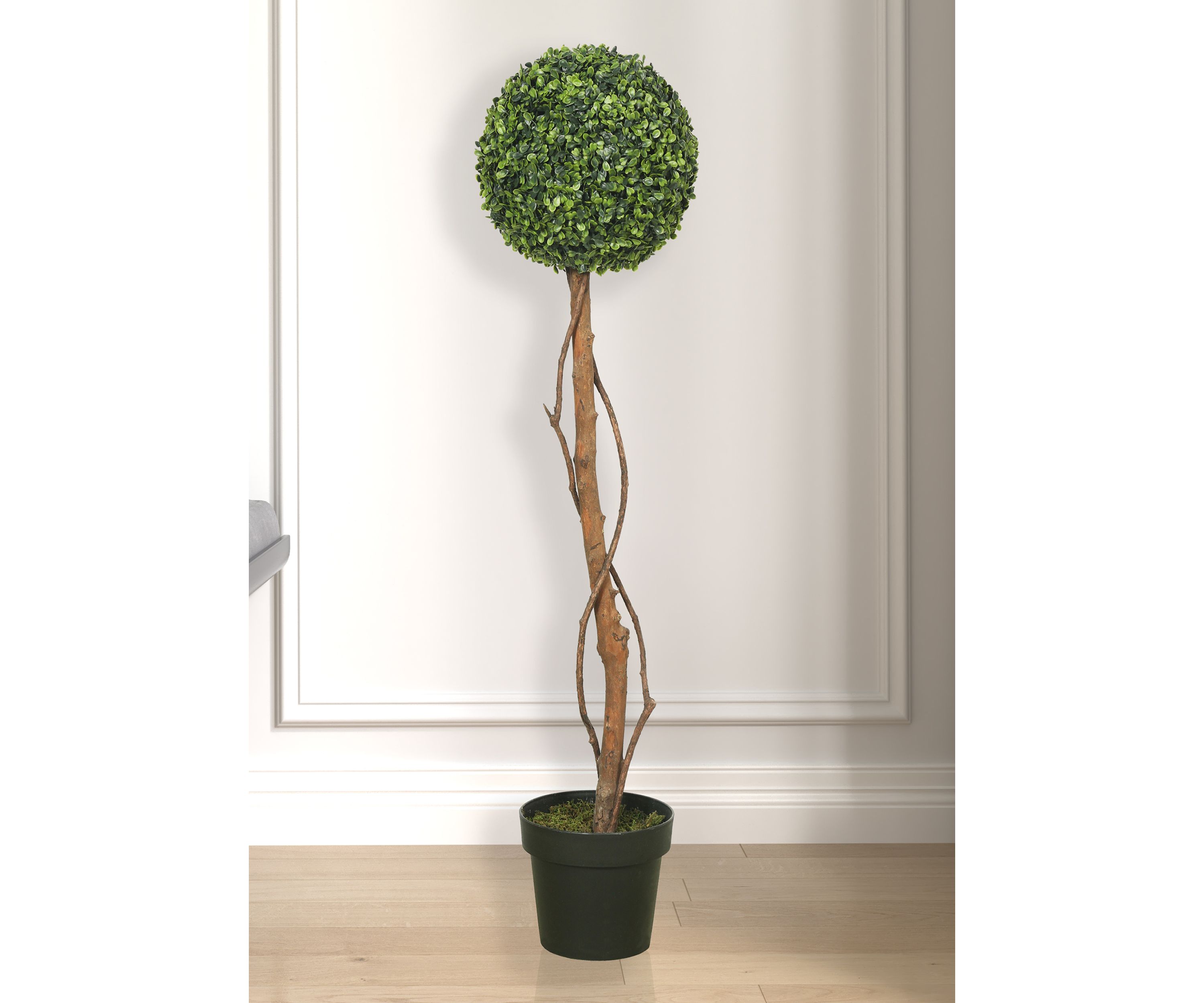 Green Boxwood Topiary