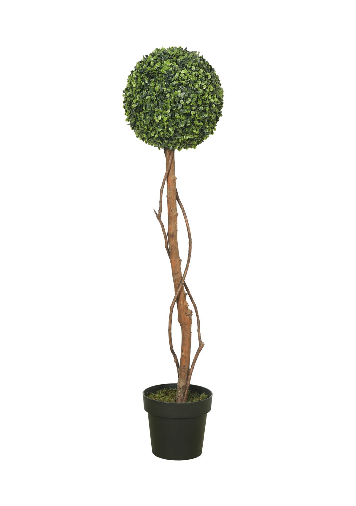 Green Boxwood Topiary