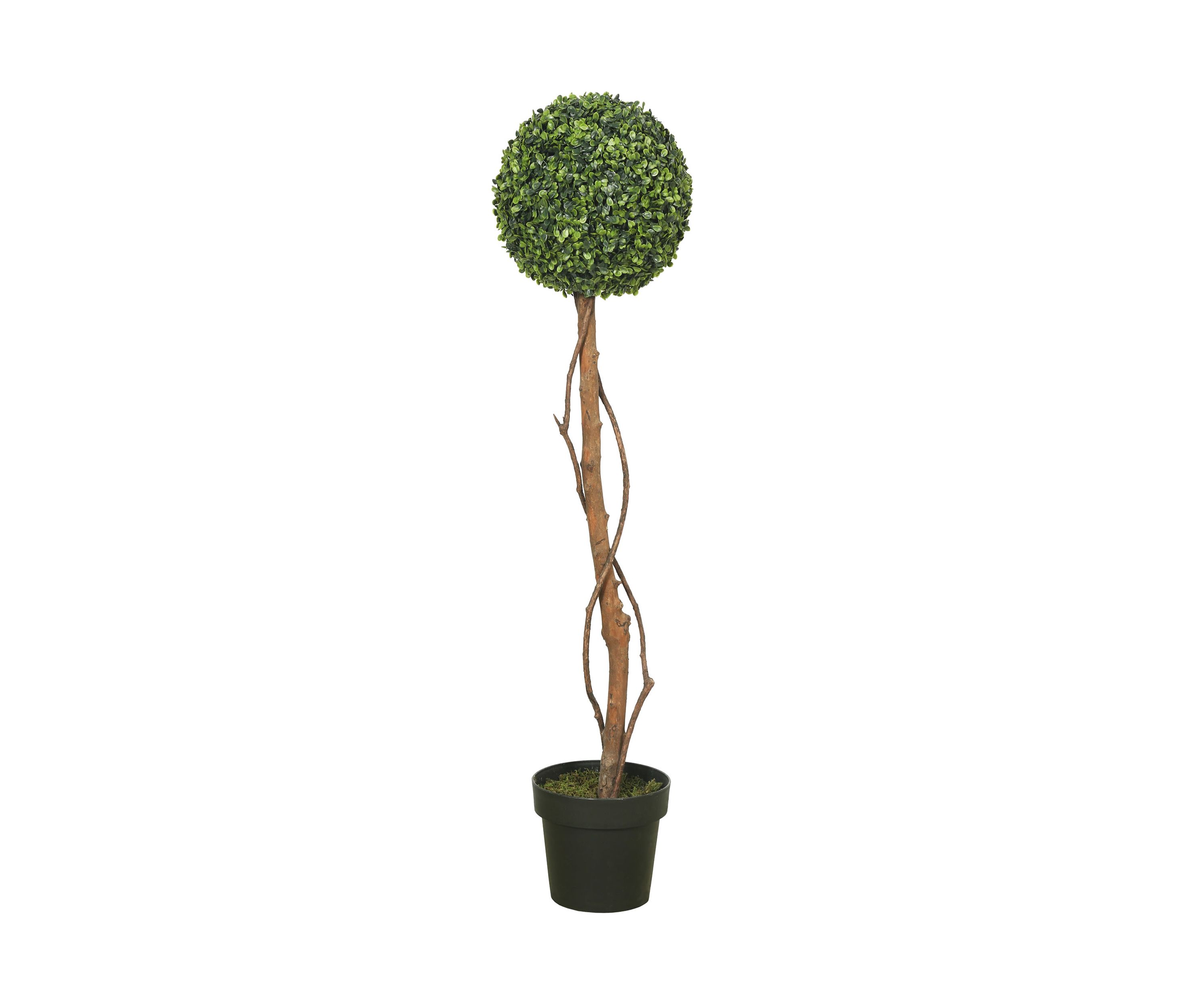 Green Boxwood Topiary
