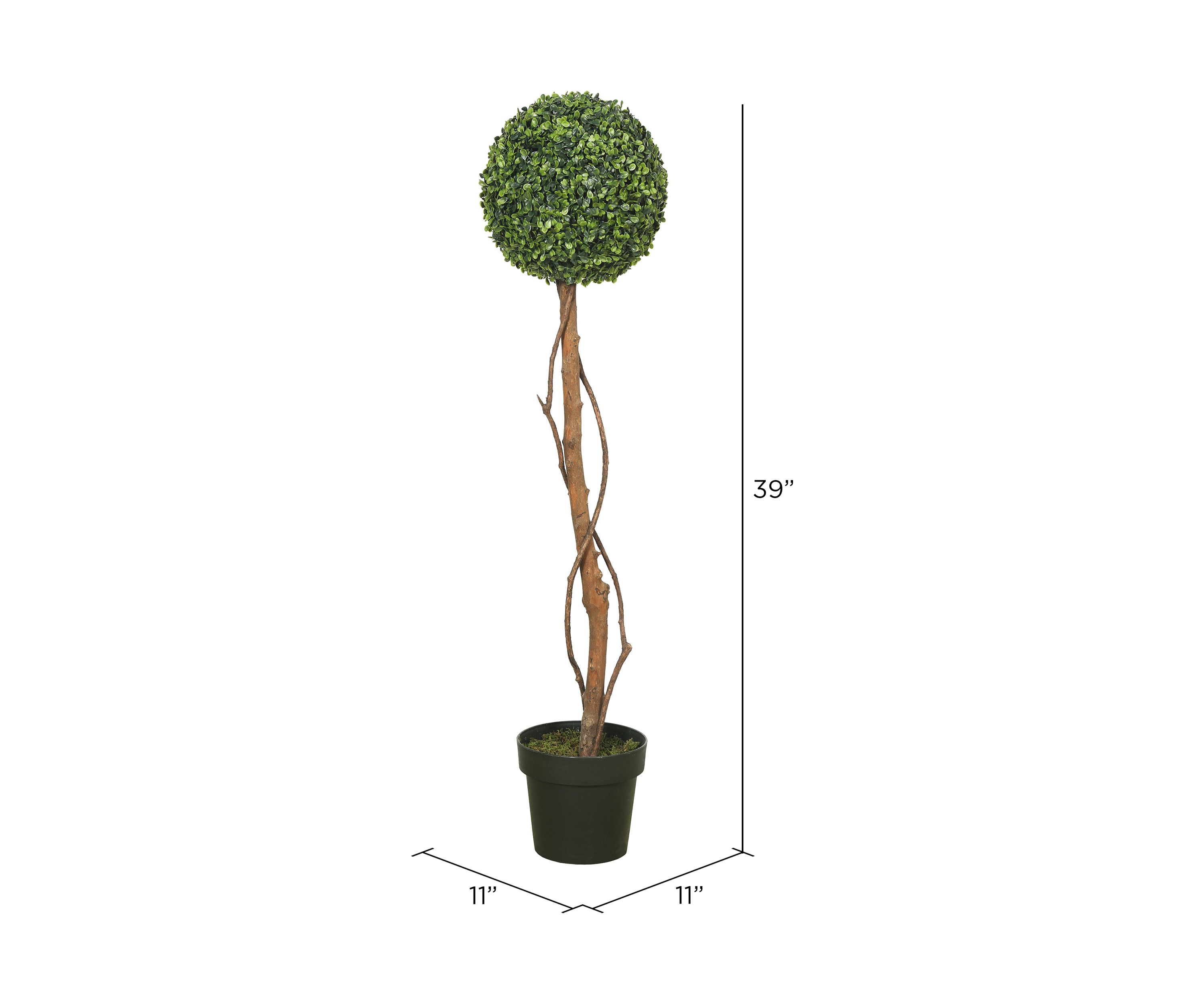 Green Boxwood Topiary