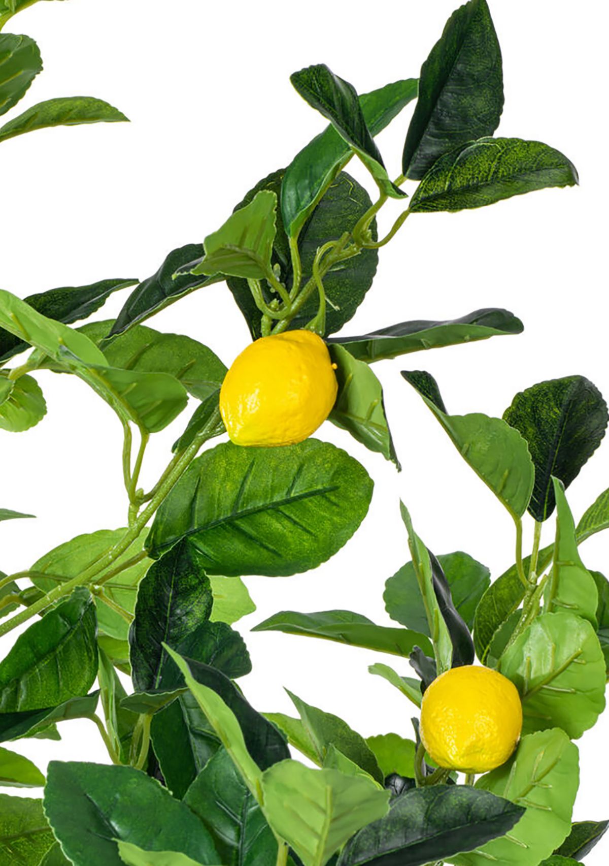 Vickerman 51" Artificial Green and Yellow Real Touch Lemon Tree.