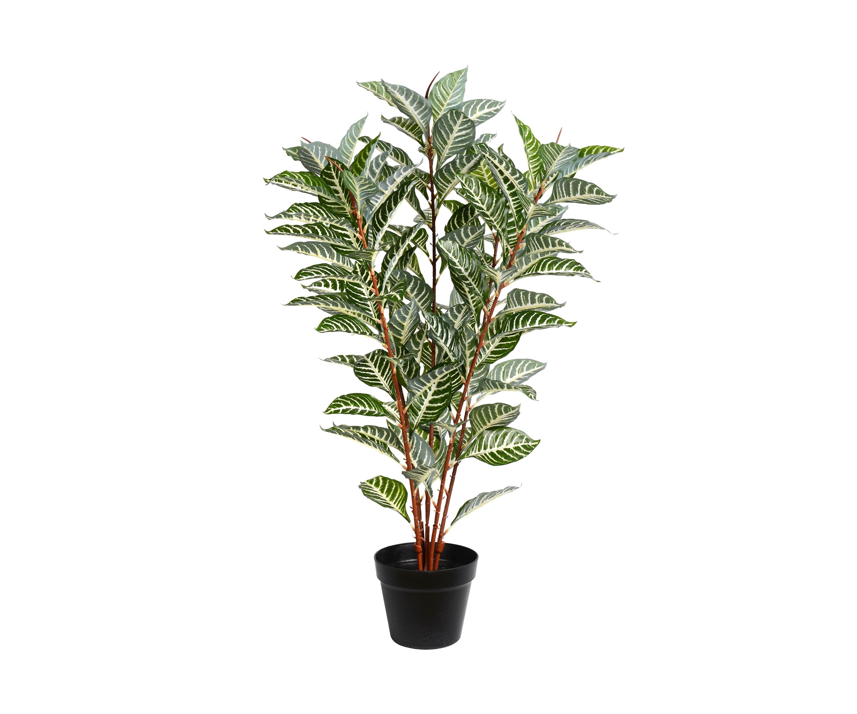 Green Real Touch Zebra Plant