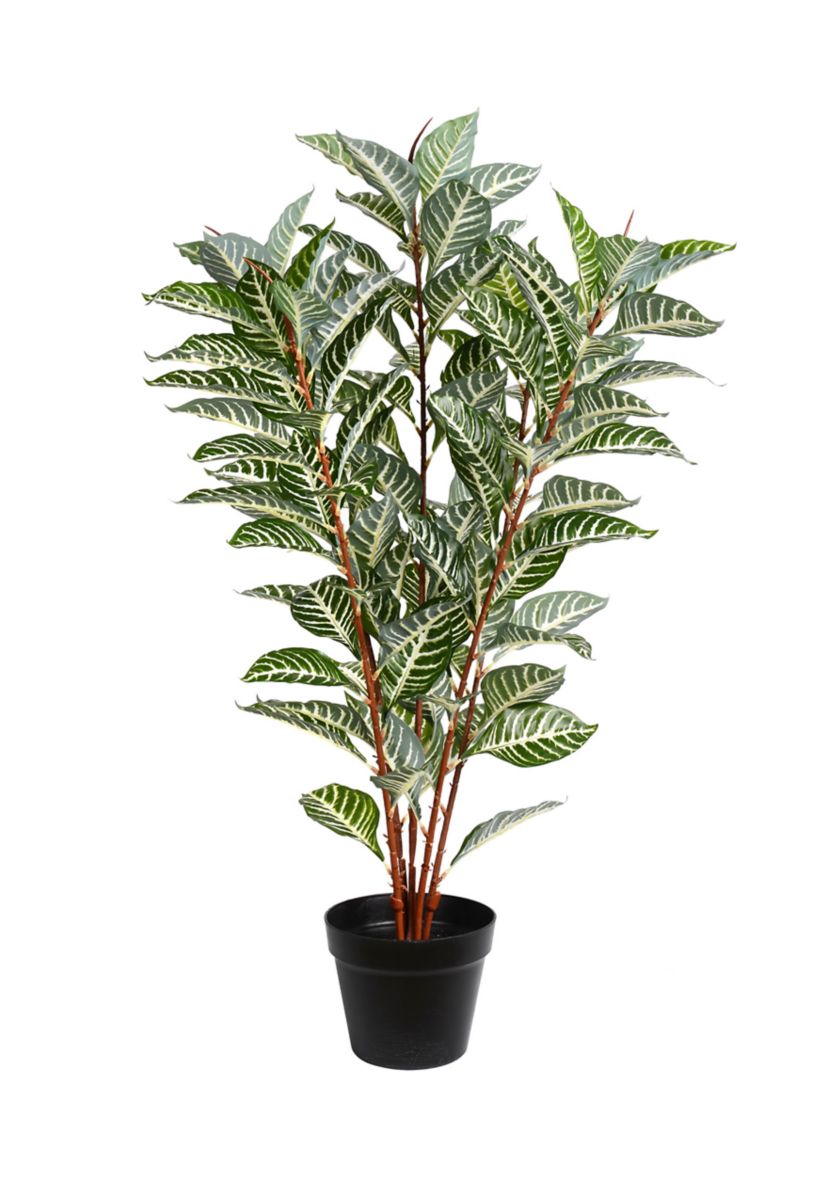 Green Real Touch Zebra Plant