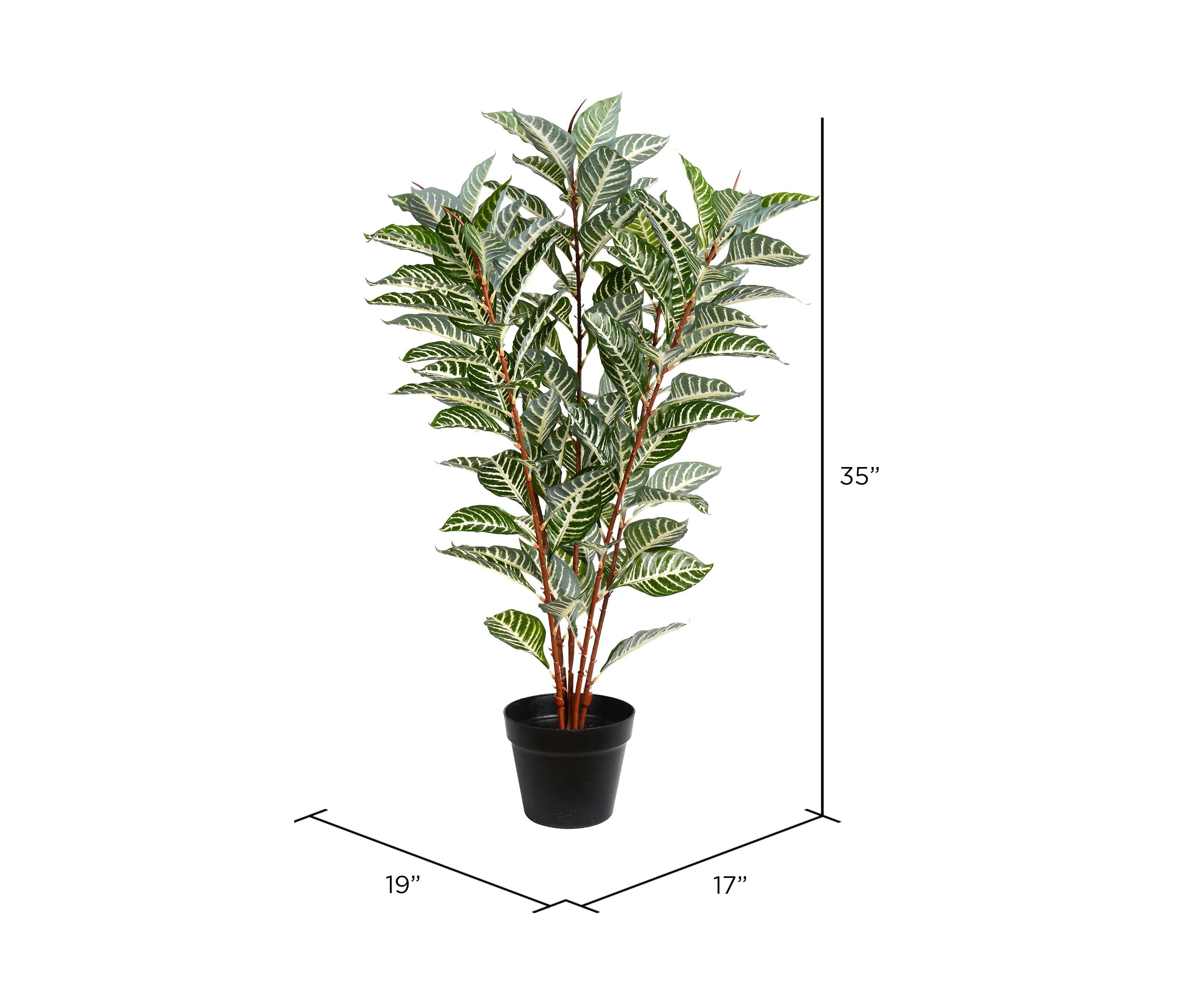 Green Real Touch Zebra Plant