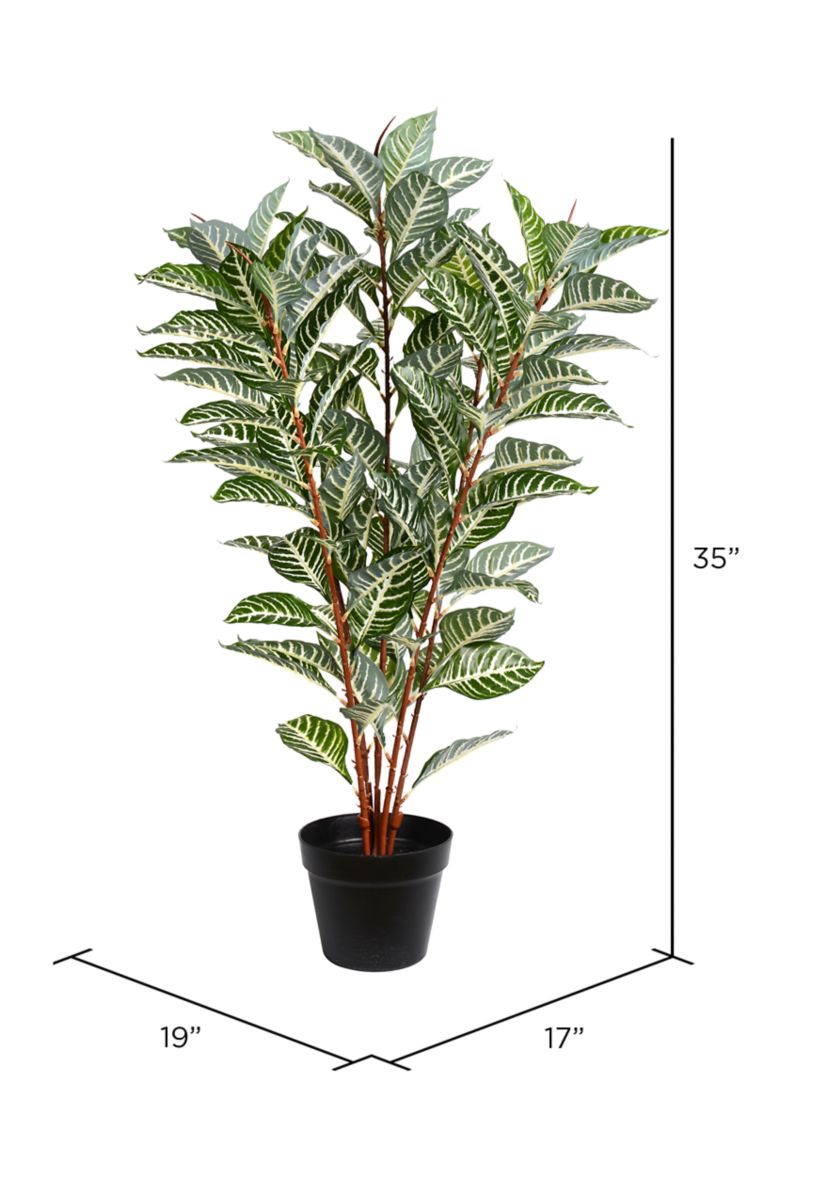 Green Real Touch Zebra Plant