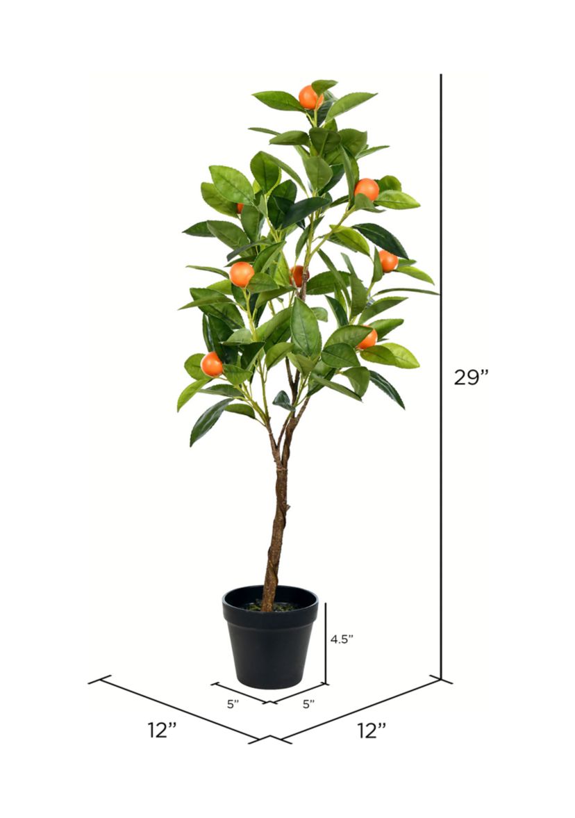 Potted Orange Tree