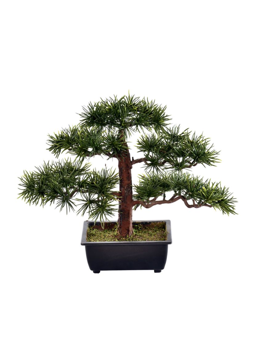 Potted Guest Greeting Bonsai Pine Tree