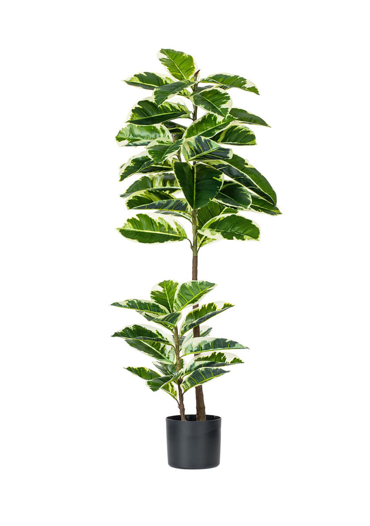 Vickerman 50" Artificial Potted Dieffenbachia.