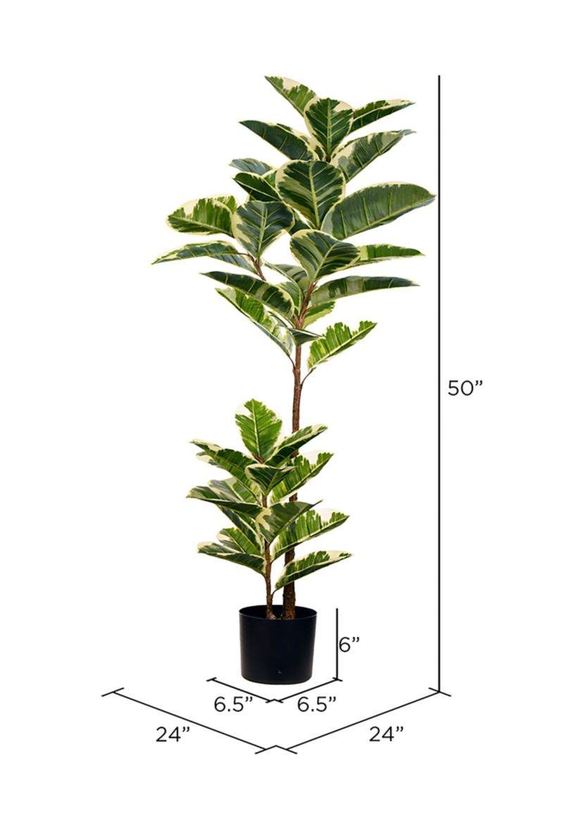 Vickerman 50" Artificial Potted Dieffenbachia.