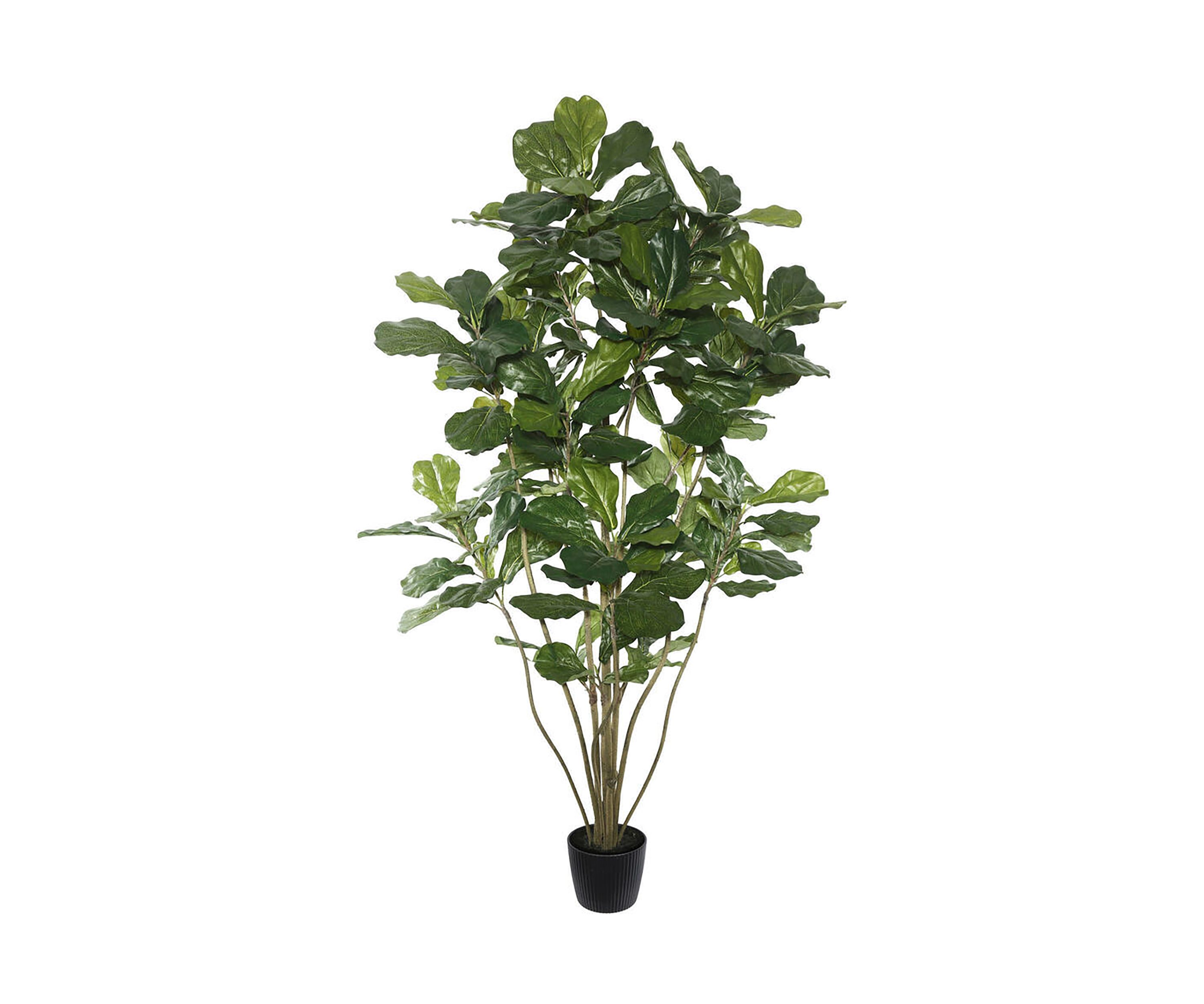 Vickerman 6 Artificial Green Potted Fiddle Tree.