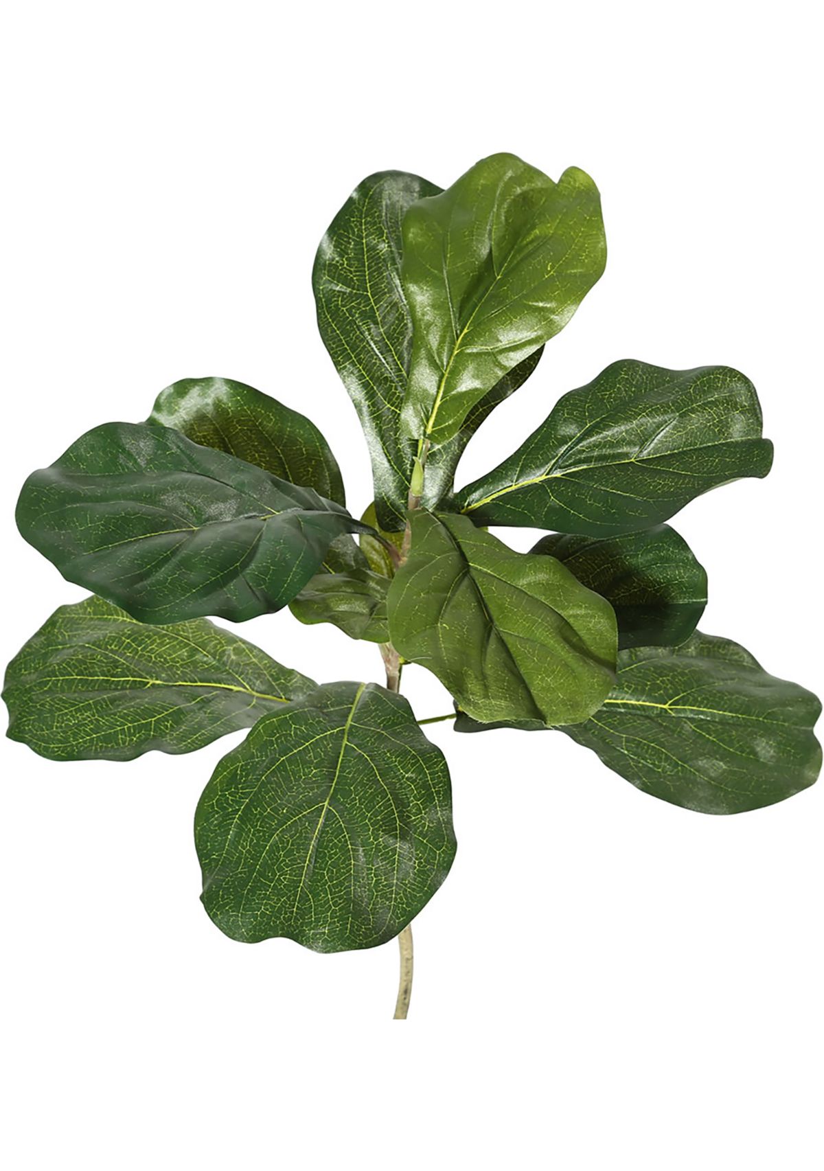 Vickerman 6 Artificial Green Potted Fiddle Tree.