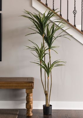 Vickerman Potted Yellow Edge Green Yucca