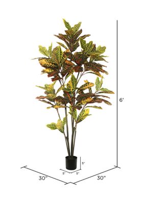 Vickerman 6' Potted Artificial Green and Orange Croton Tree.