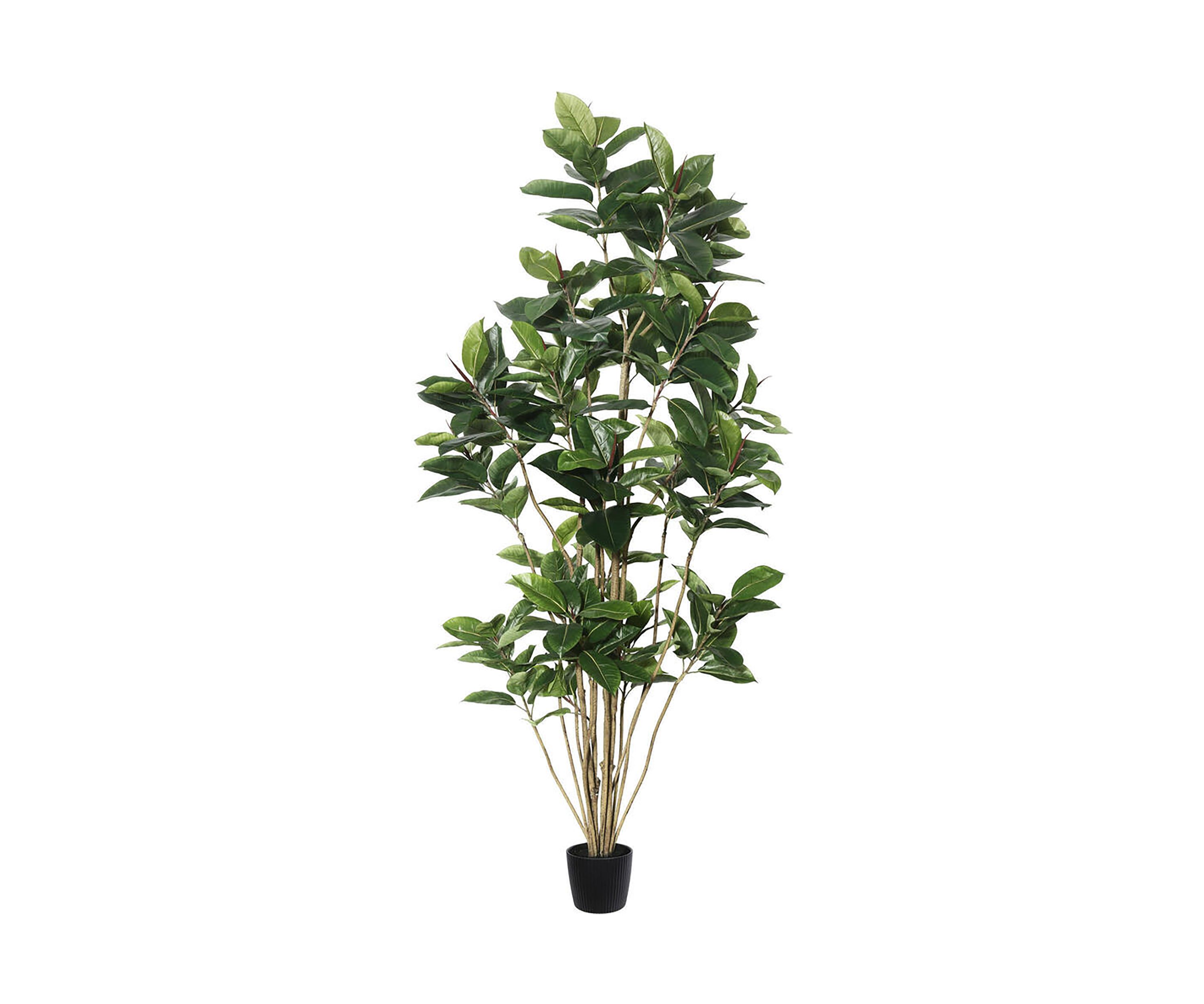 Vickerman 7 Potted Artificial Green Rubber Tree.