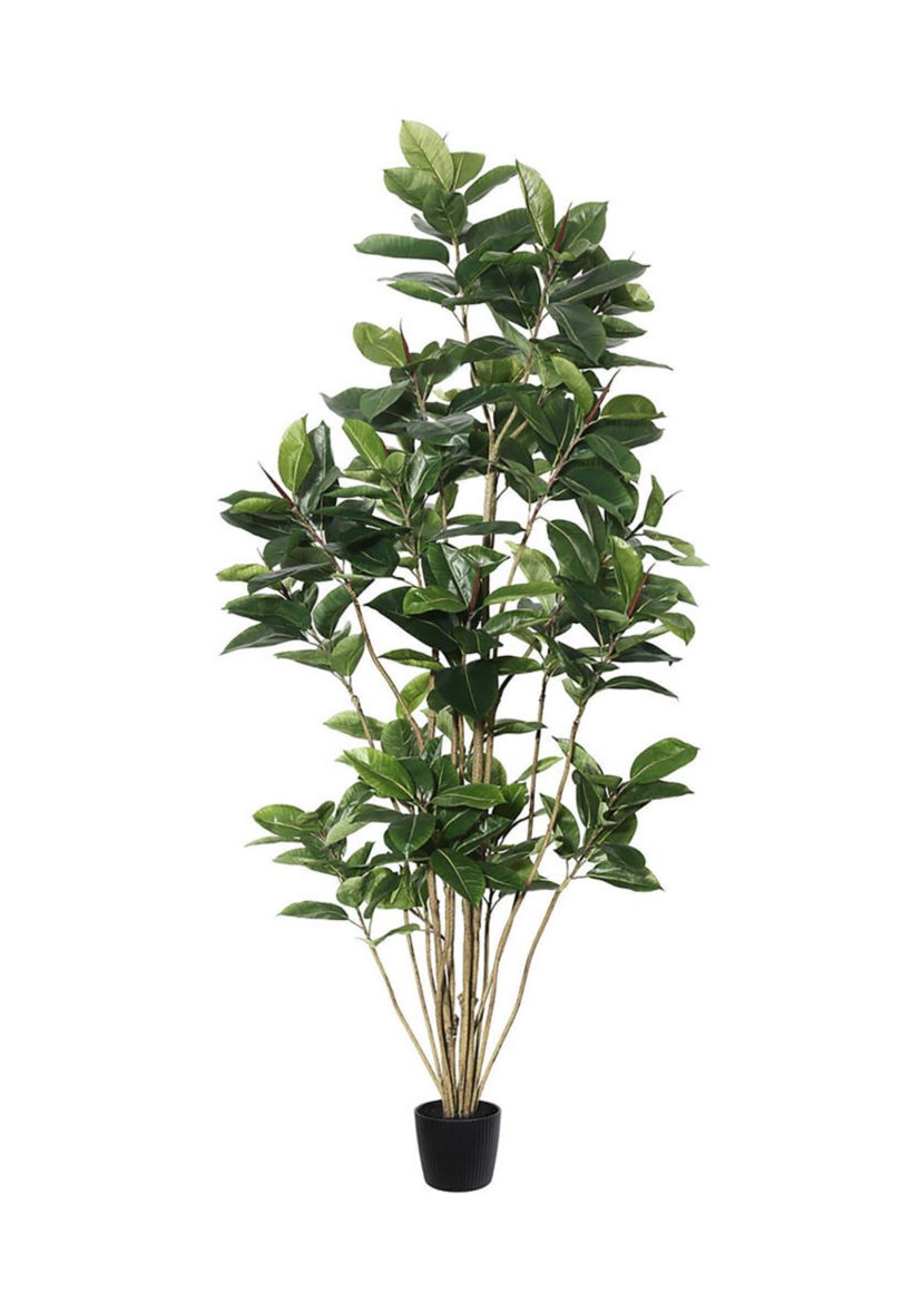Vickerman 7 Potted Artificial Green Rubber Tree.
