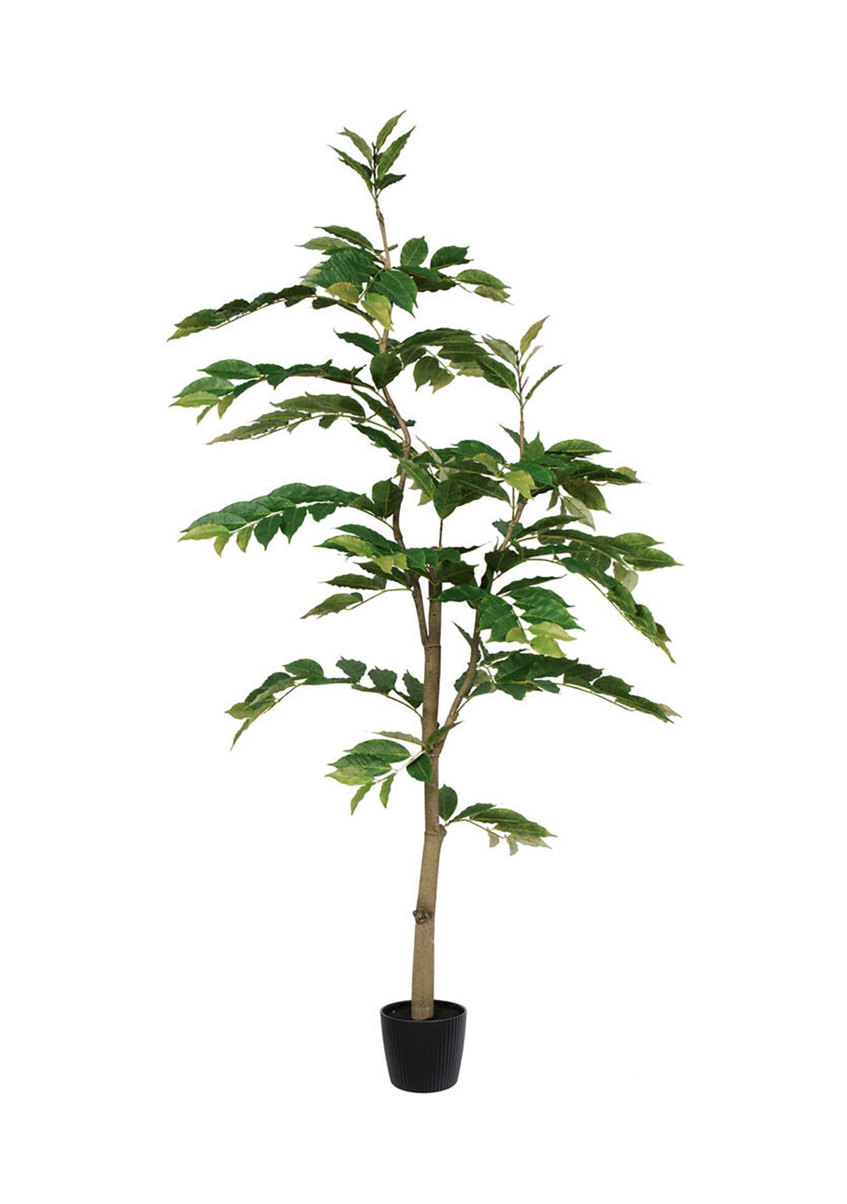 Vickerman 6 Potted Artificial Green Nandina Tree.