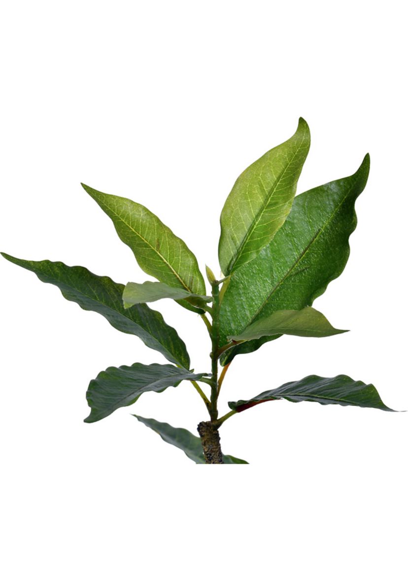 Vickerman 6 Potted Artificial Green Nandina Tree.