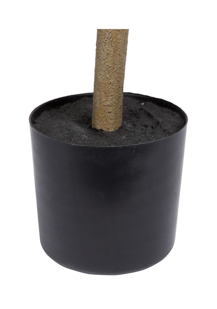 Vickerman 6 Potted Artificial Green Nandina Tree.