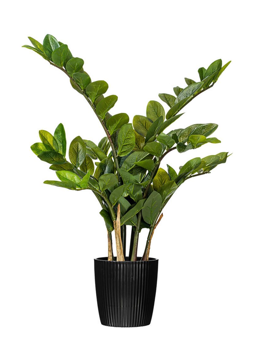Vickerman 28" Potted Green Zamifolia Artificial Bush.