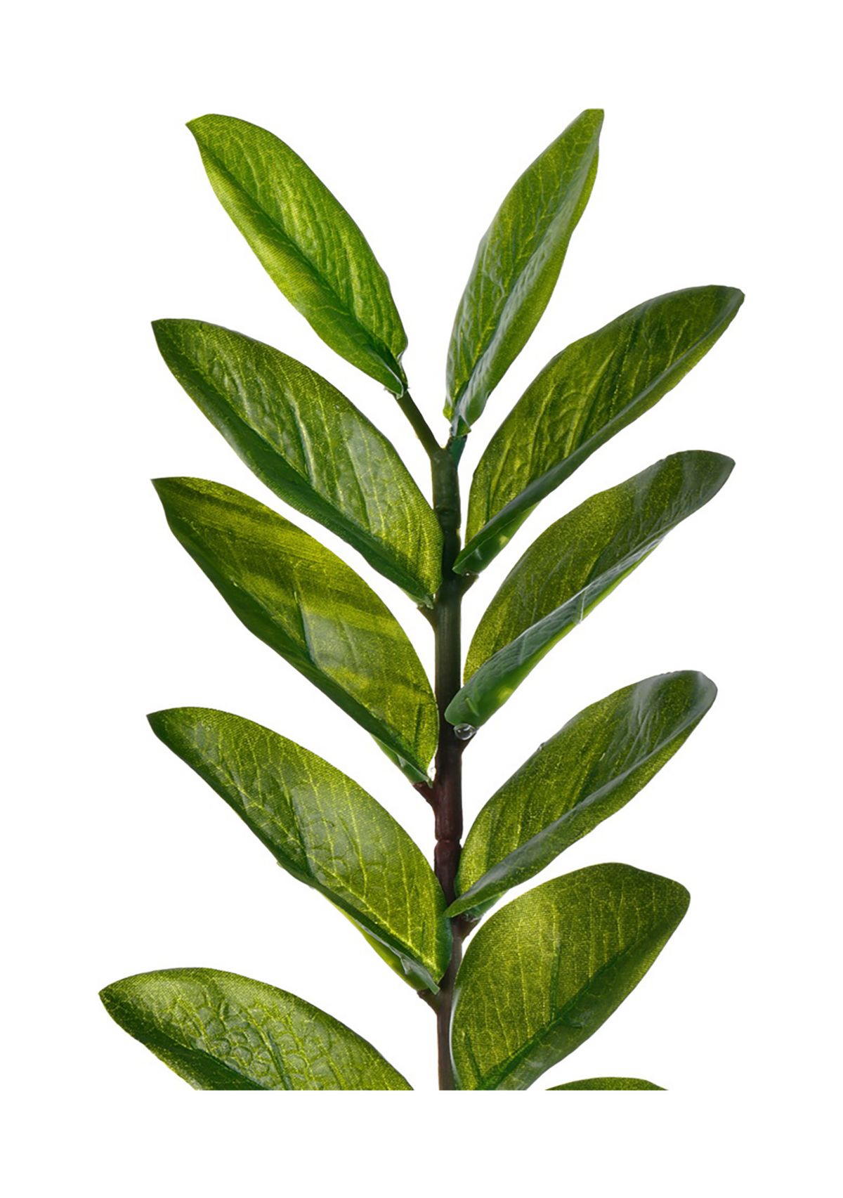 Vickerman 28" Potted Green Zamifolia Artificial Bush.