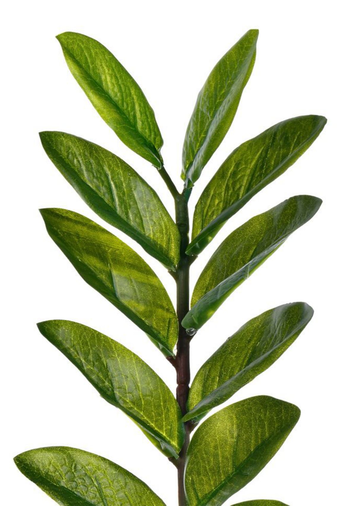 Potted Zamifolia Artificial Bush.