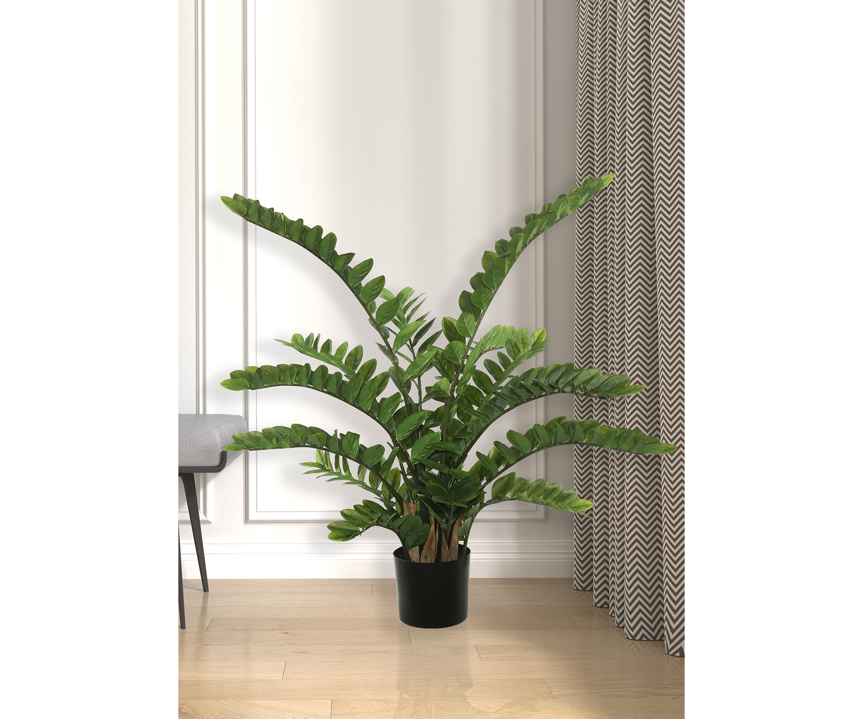 Potted Green Zamifolia Bush