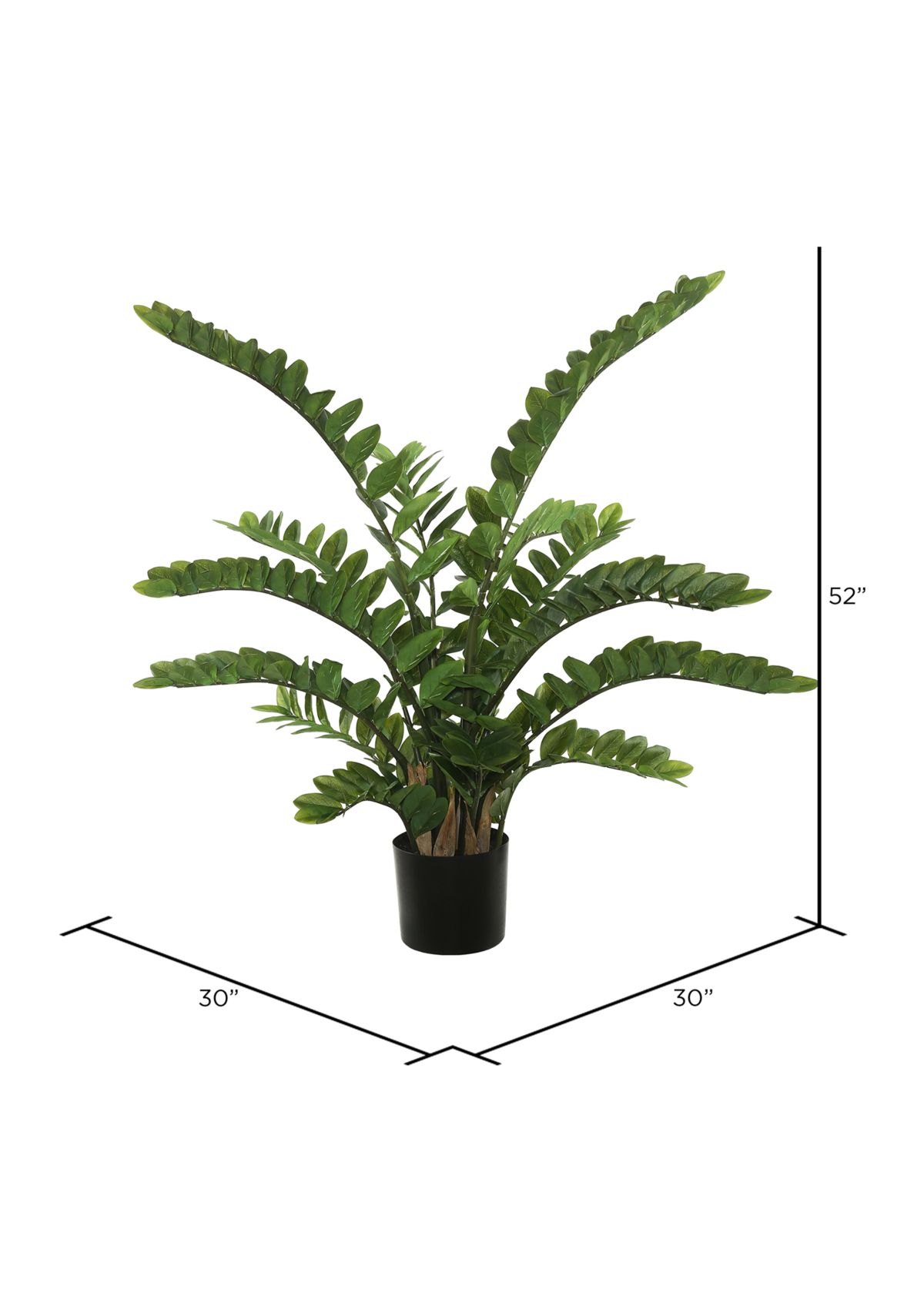 Potted Green Zamifolia Bush