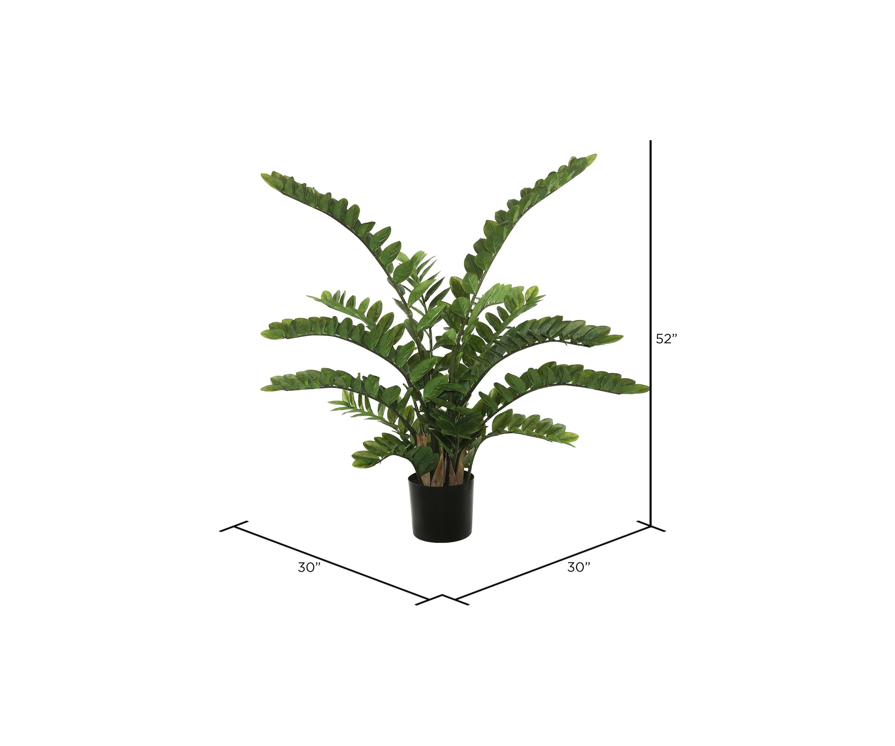 Potted Green Zamifolia Bush