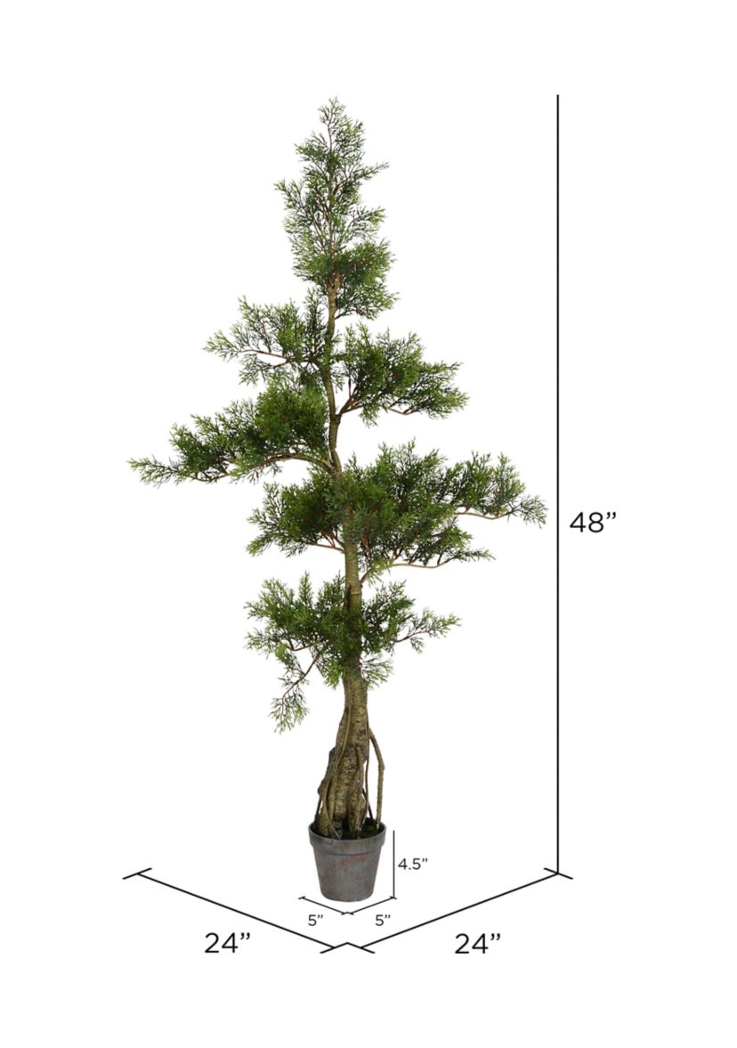 Potted Cedar Tree