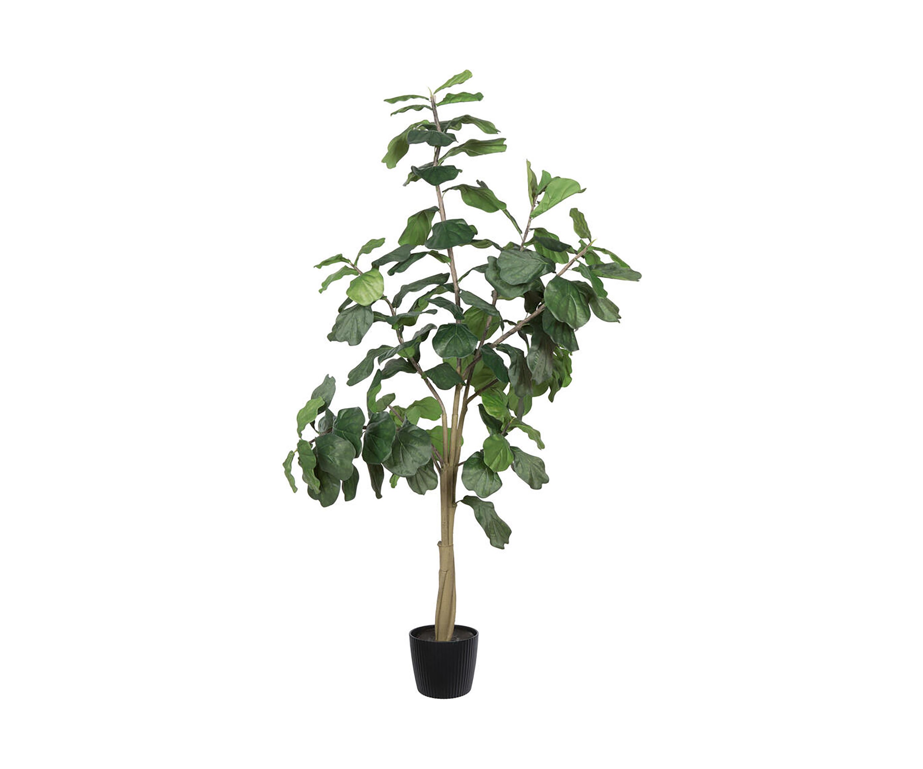 Vickerman 8 Artificial Potted Fiddle Tree.
