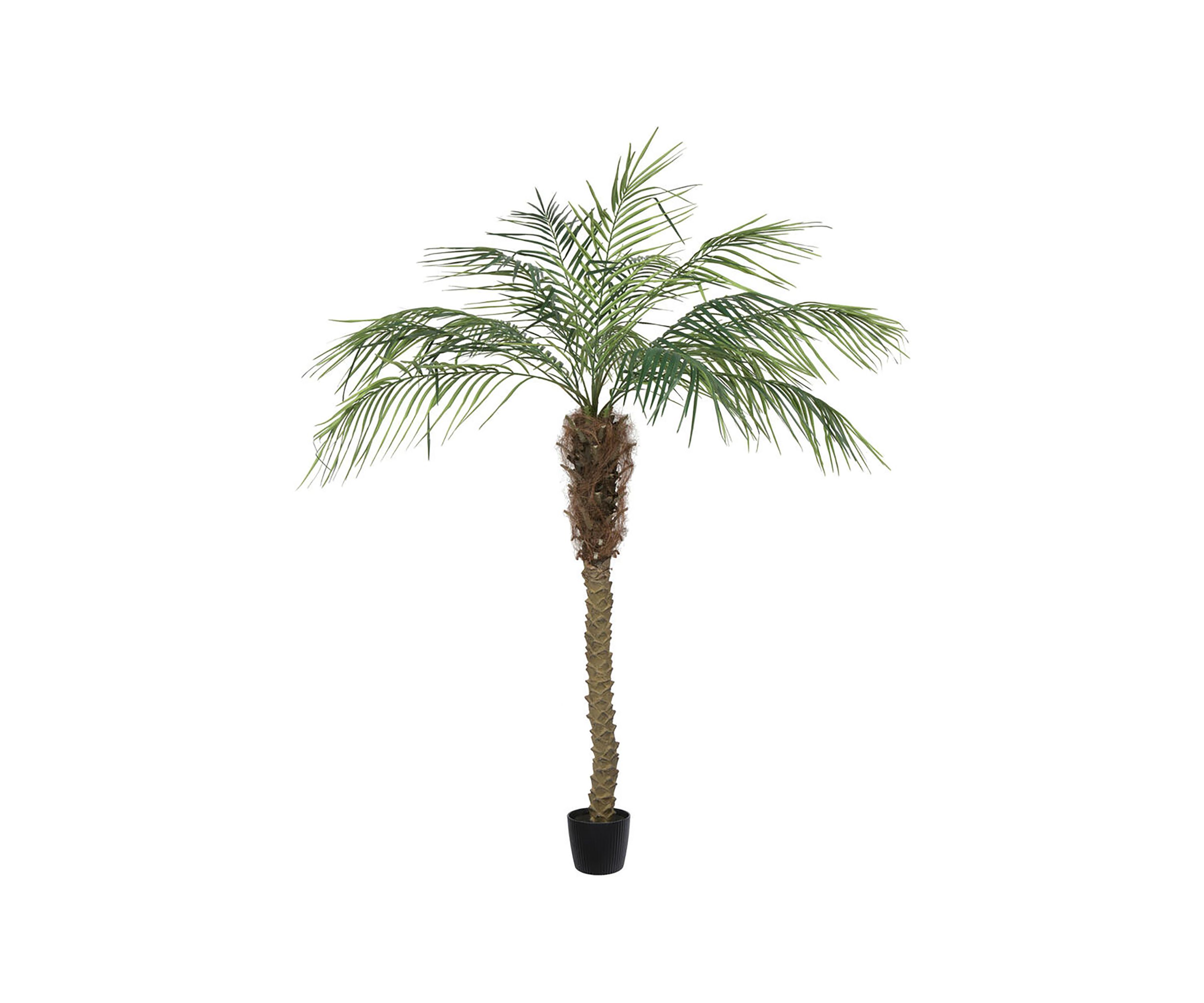 Vickerman 6 Artificial Potted Pheonix Palm Tree.