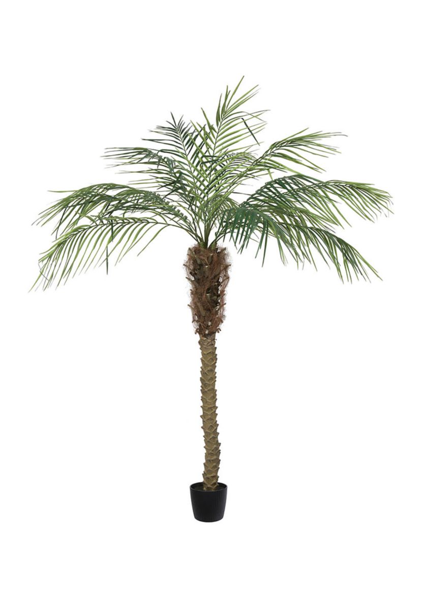 Vickerman 6 Artificial Potted Pheonix Palm Tree.