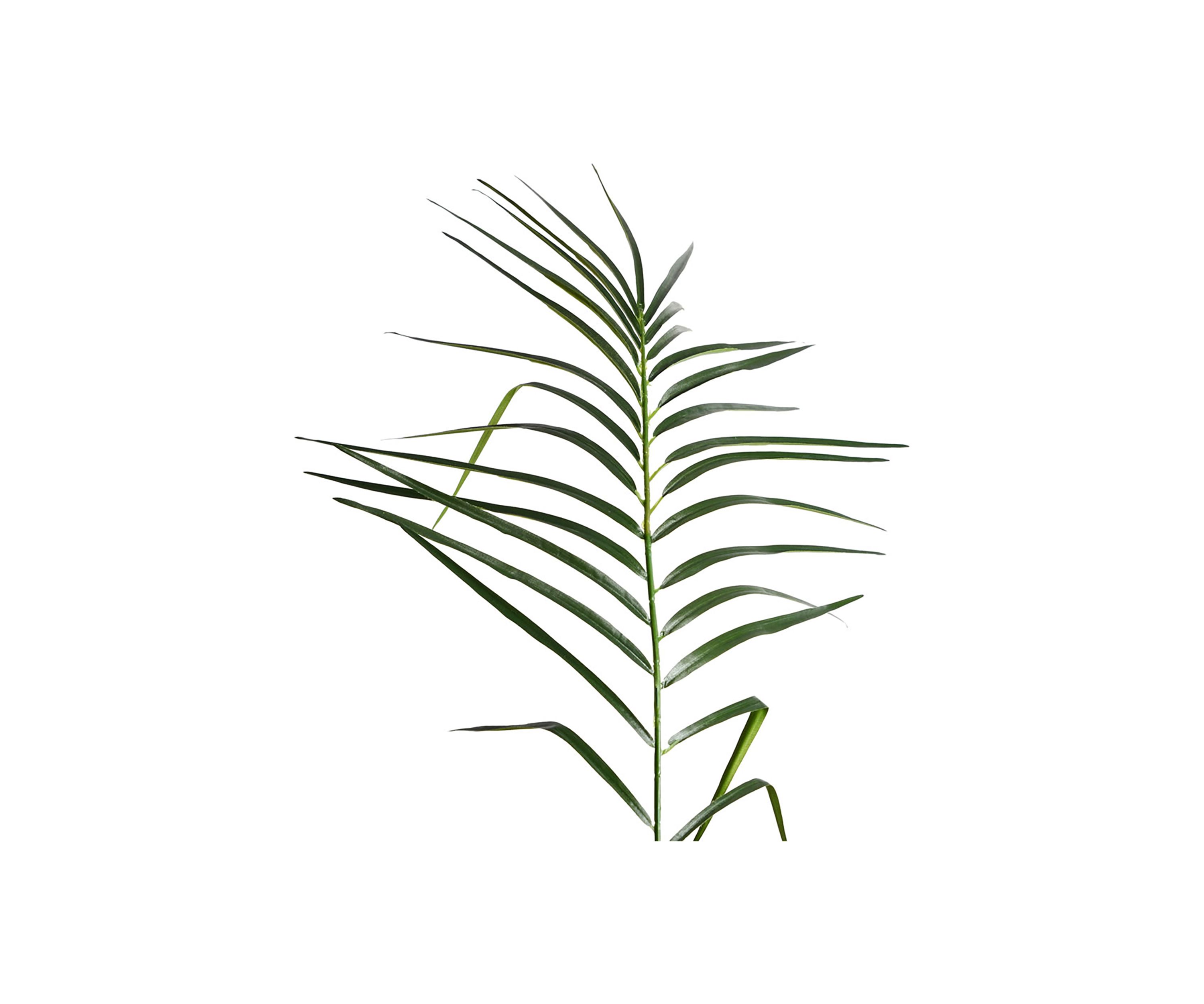Vickerman 6 Artificial Potted Pheonix Palm Tree.