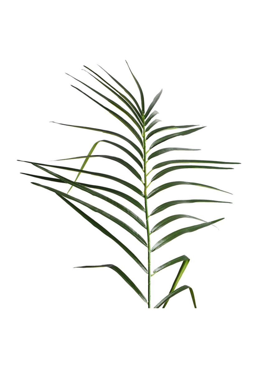 Vickerman 6 Artificial Potted Pheonix Palm Tree.
