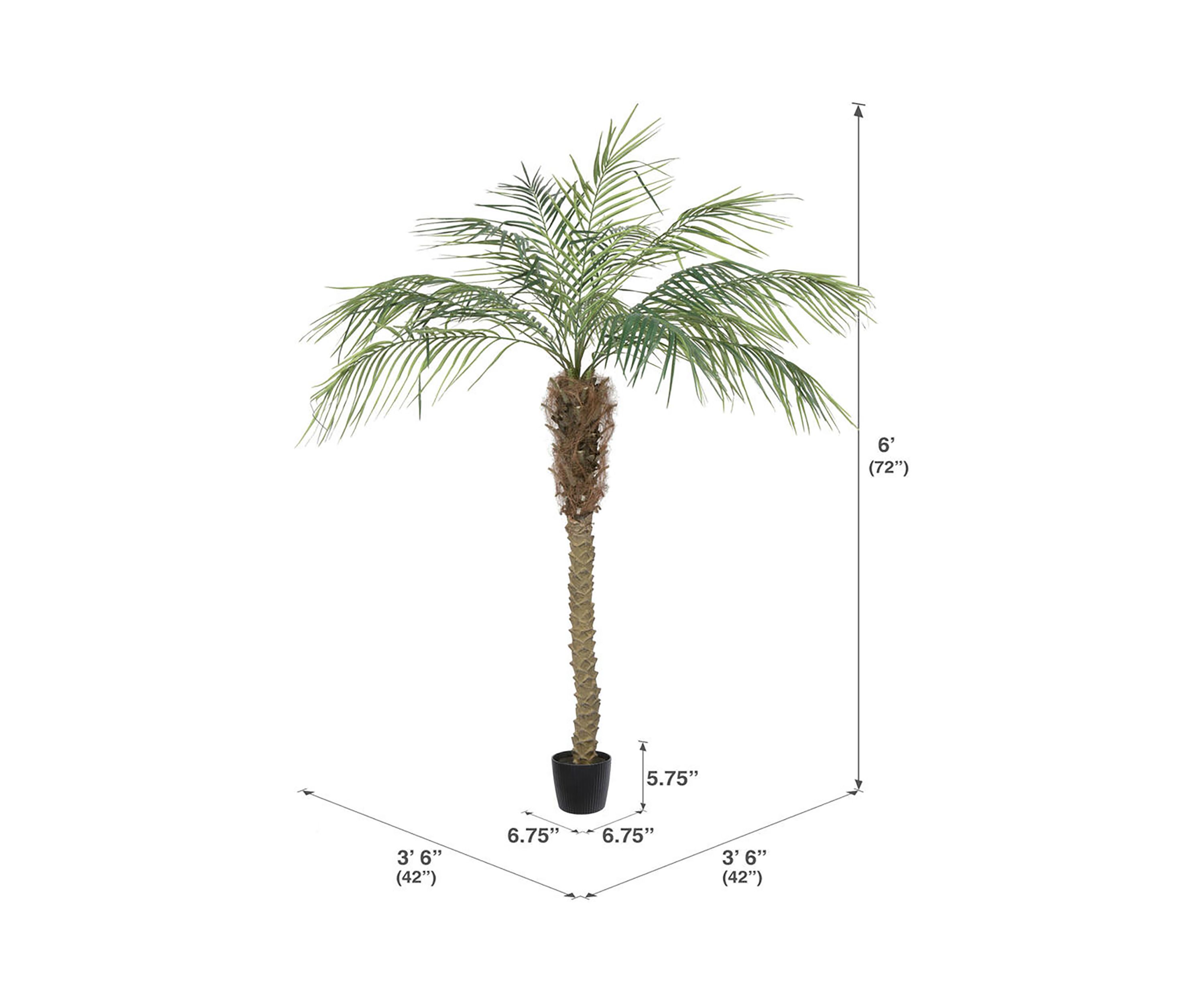 Vickerman 6 Artificial Potted Pheonix Palm Tree.
