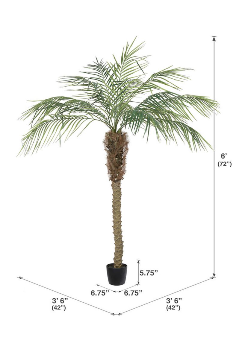 Vickerman 6 Artificial Potted Pheonix Palm Tree.