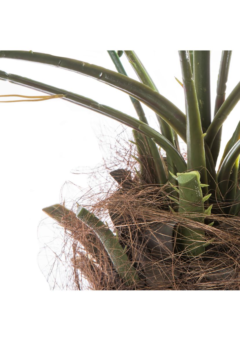 Vickerman 6 Artificial Potted Pheonix Palm Tree.