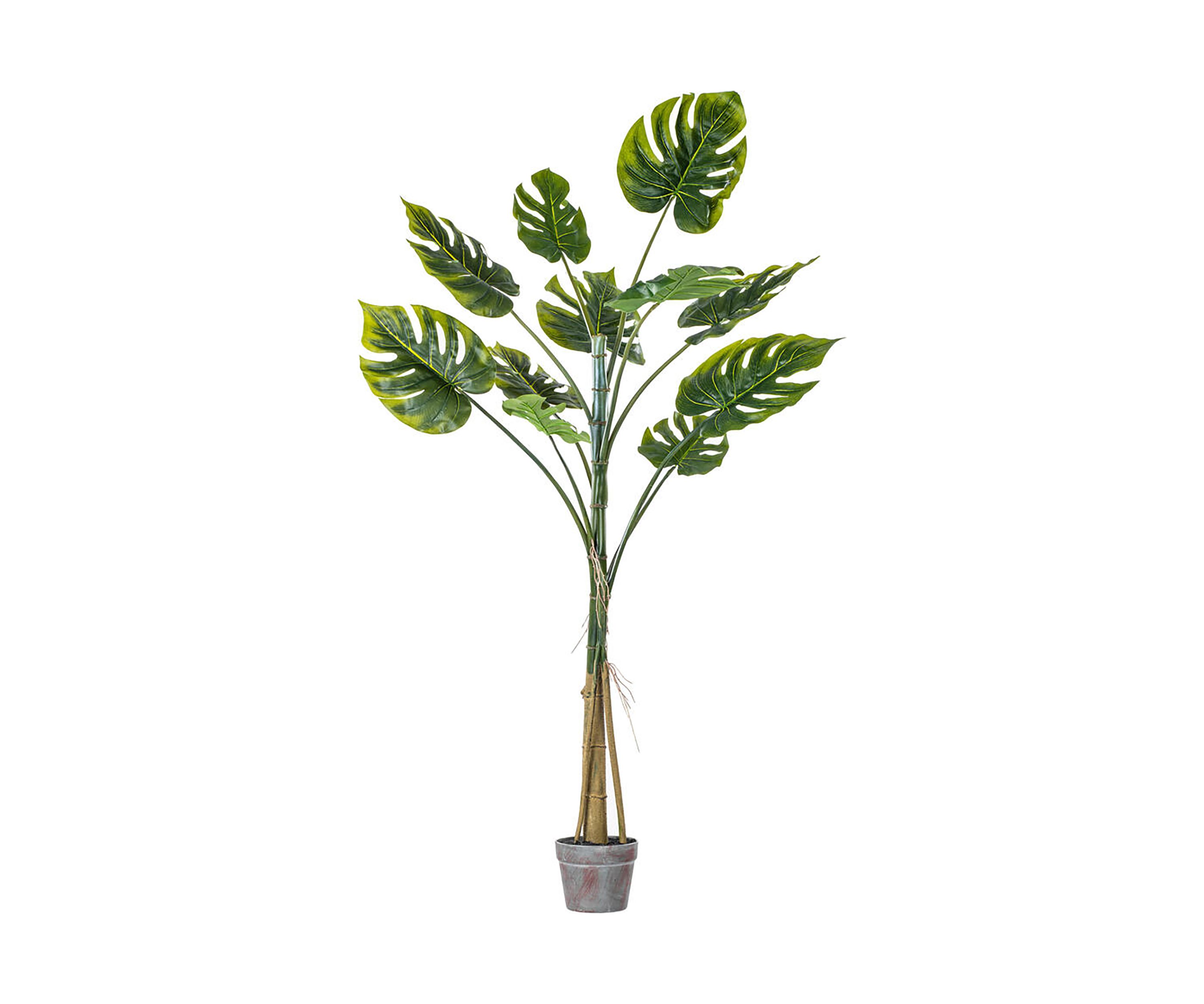 Vickerman 54" Artificial Potted Grand Split Philodendron Tree.
