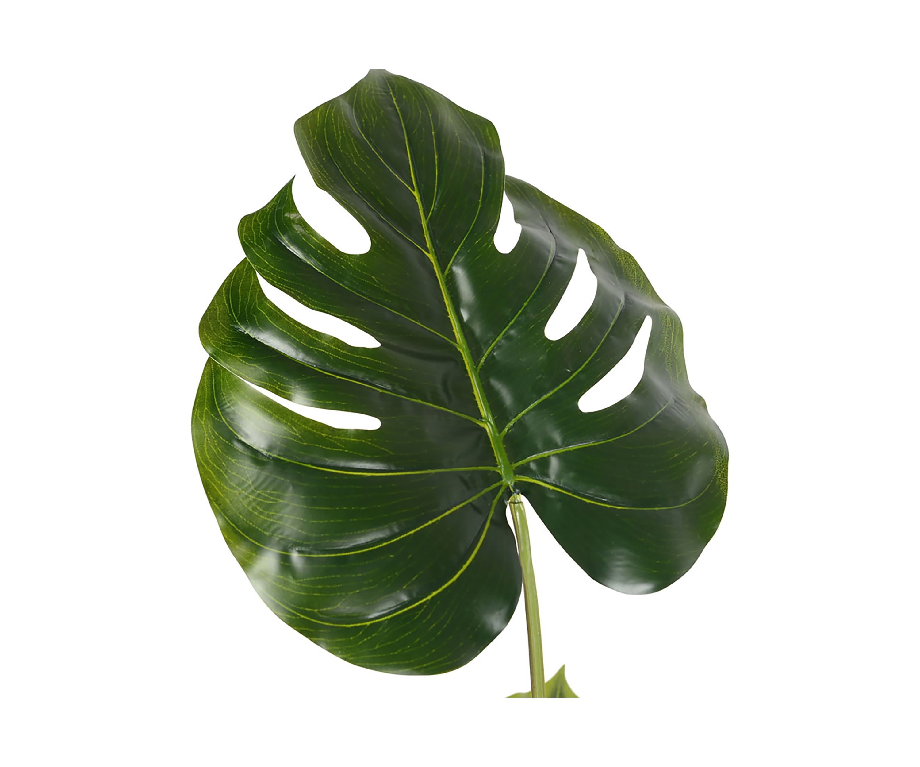 Vickerman 54" Artificial Potted Grand Split Philodendron Tree.