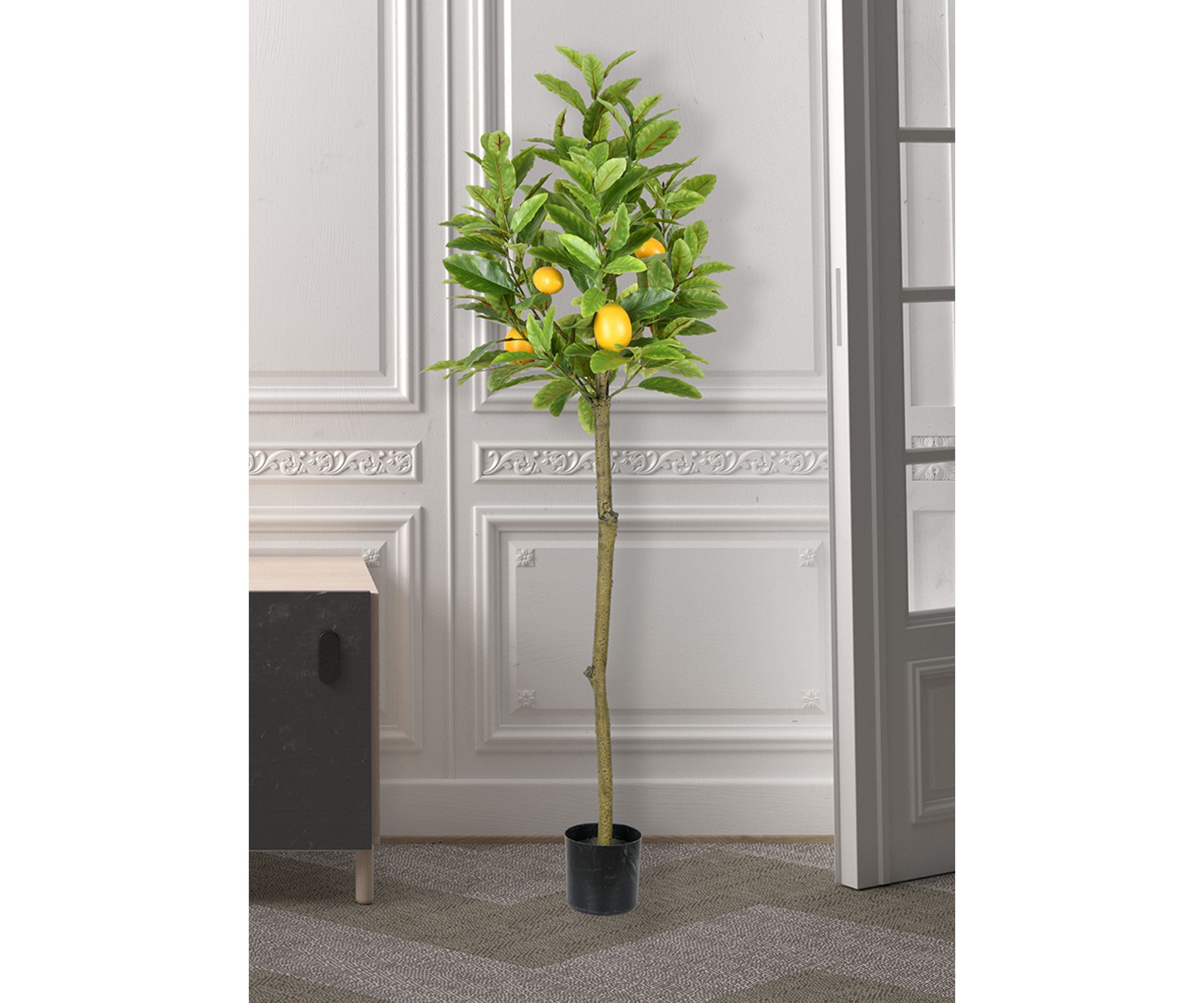 Potted Lemon Tree