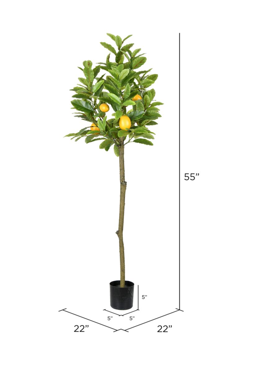 Potted Lemon Tree