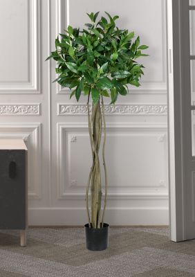 Vickerman Potted Bay Leaf Tree, Green