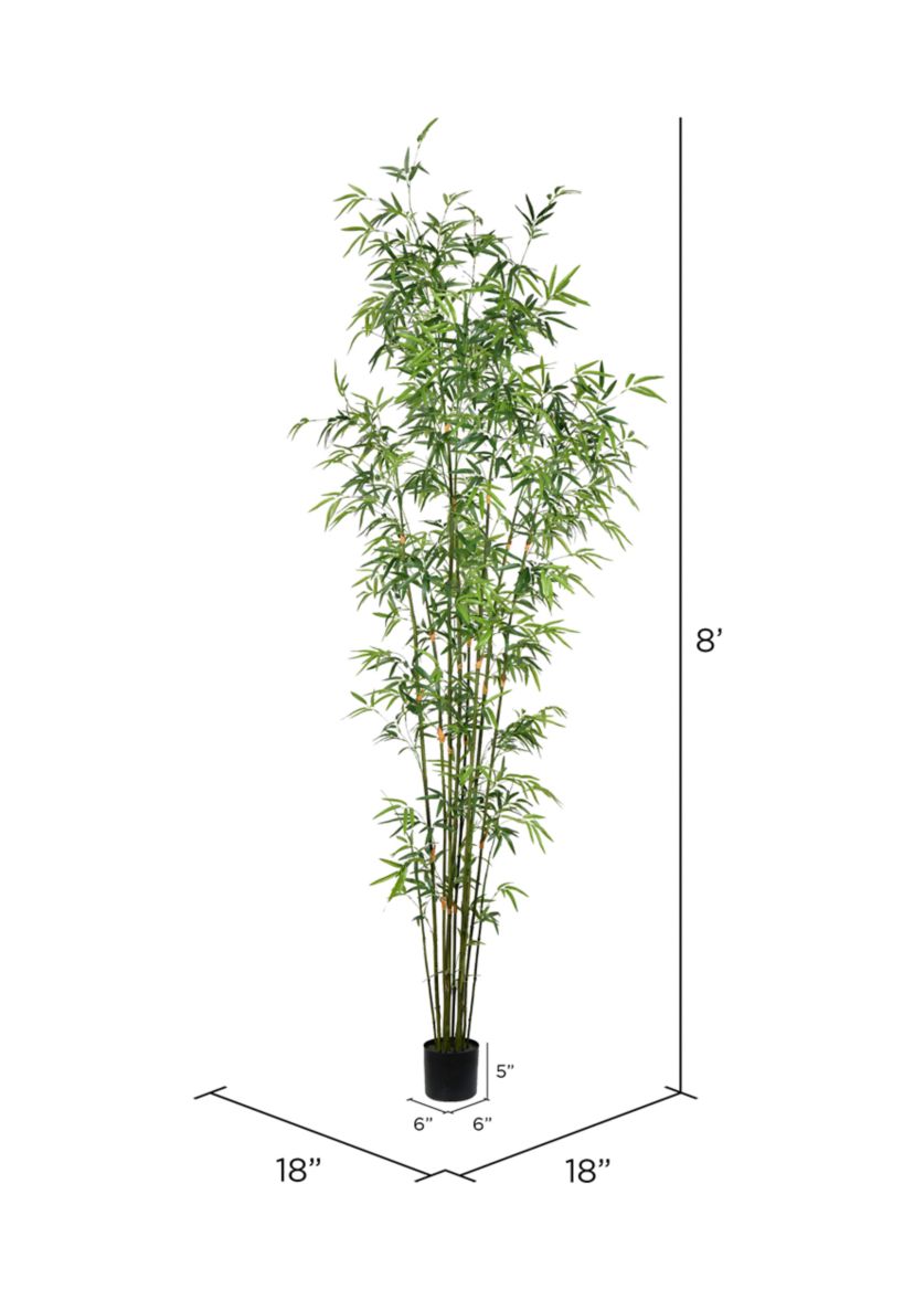 Potted Mini Bamboo Tree