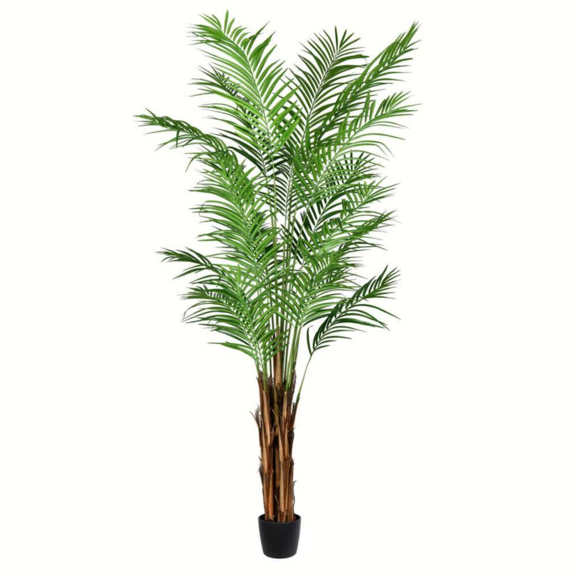 Vickerman 7 Artificial Potted Giant Areca Palm Tree.