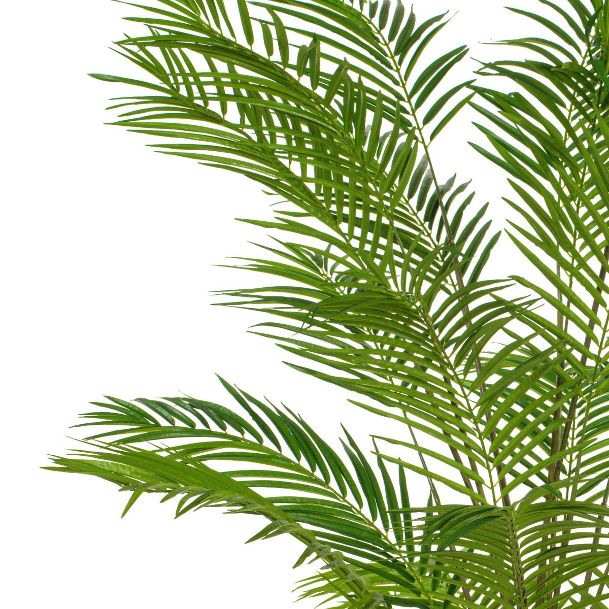 Vickerman 7 Artificial Potted Giant Areca Palm Tree.