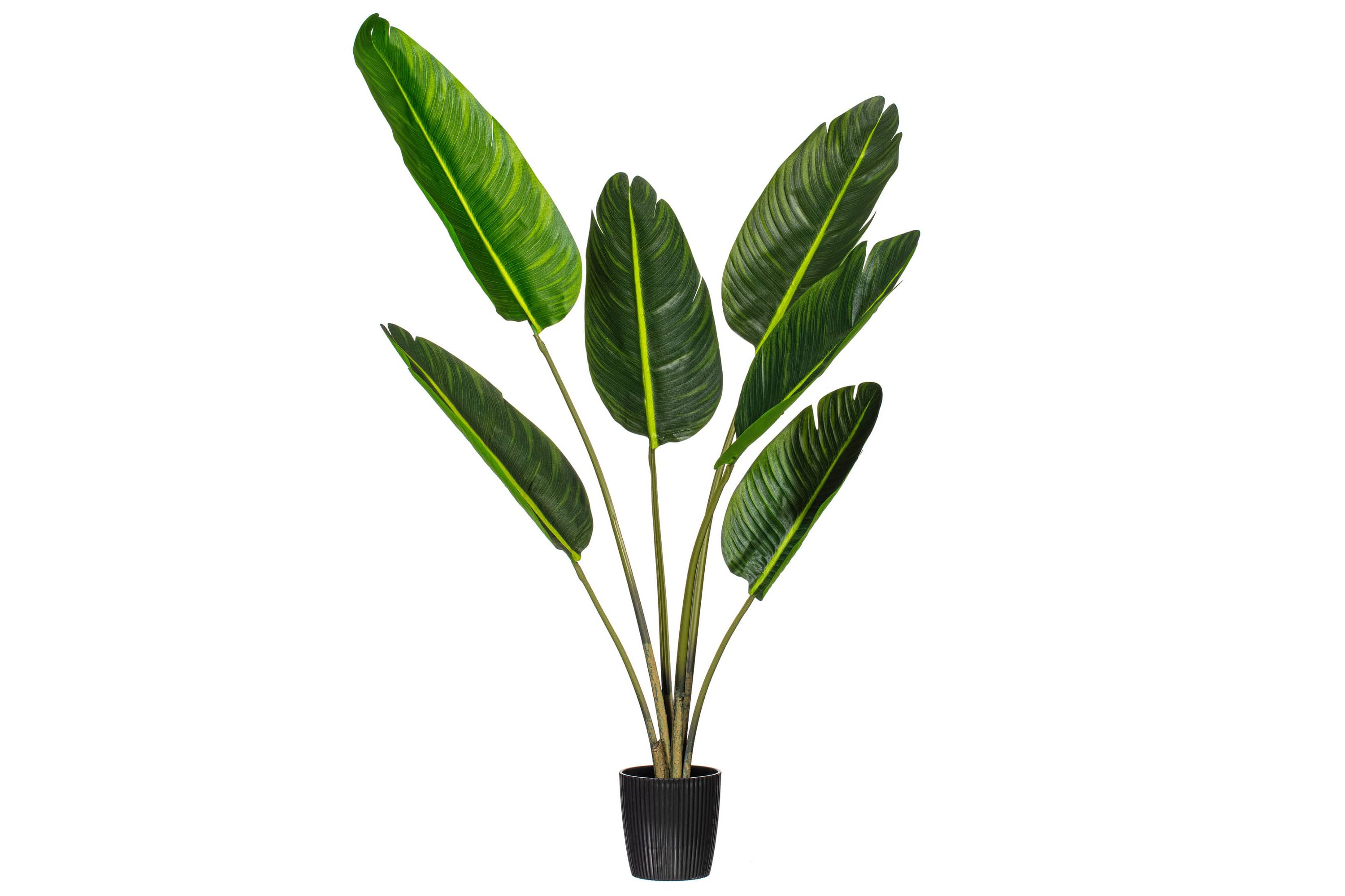 Vickerman 4 Artificial Potted Travellers Palm Tree.